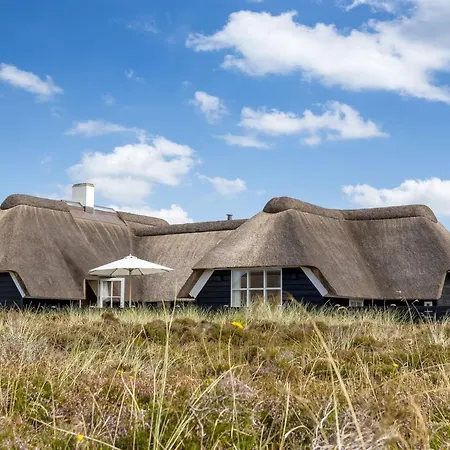 Holiday home Rother - 100m From The Sea In Western Jutland By Interhome Blavand